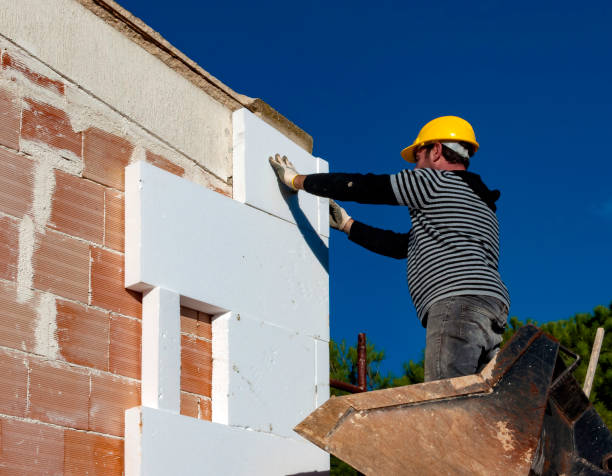 Best Insulation Installation Cost  in Timberville, VA