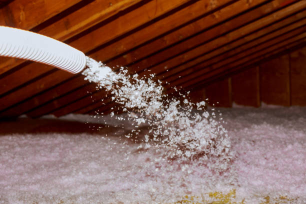 Best Professional Insulation Contractor  in Timberville, VA