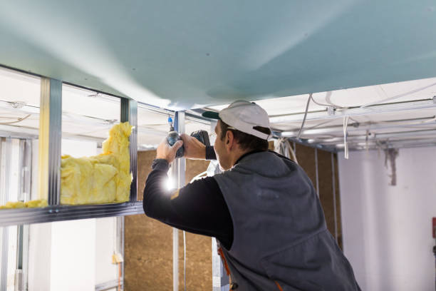 Best Attic Insulation Installation  in Timberville, VA