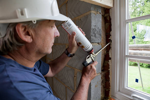 Best Cellulose Insulation  in Timberville, VA