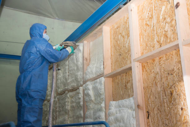 Best Home Insulation Services  in Timberville, VA