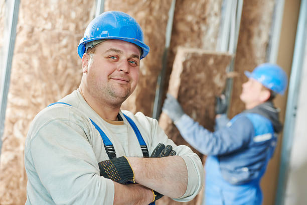 Best Insulation for New Construction  in Timberville, VA