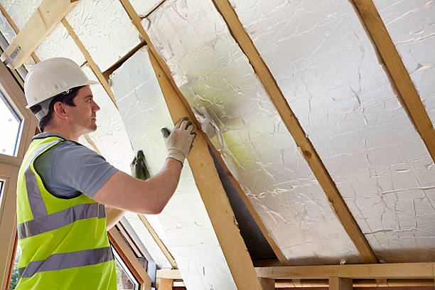 Best Insulation Contractor Near Me  in Timberville, VA