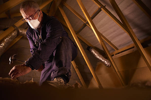 Best Energy-efficient Insulation  in Timberville, VA