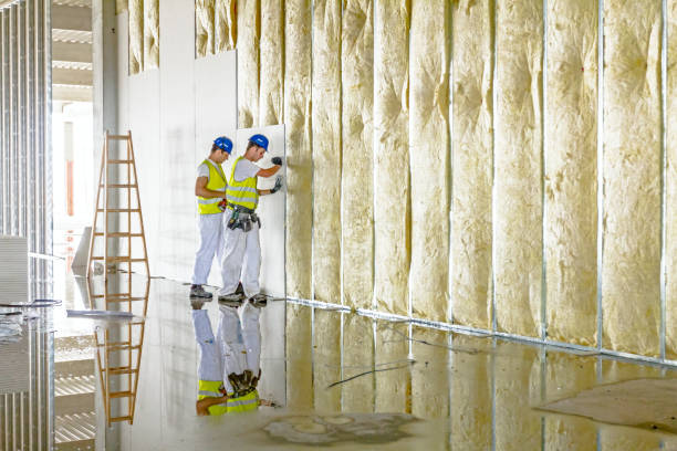 Best Wall Insulation Contractor  in Timberville, VA